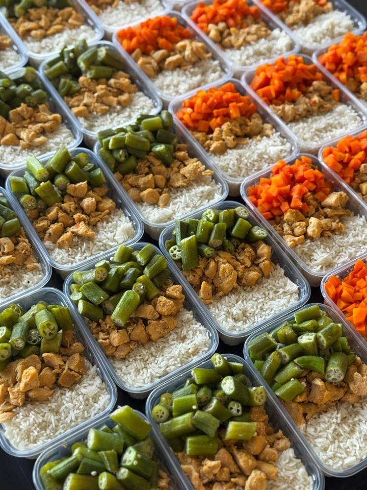 Dezenas de marmitas Food Fit com arroz, frango e quiabo ou cenoura, lado a lado